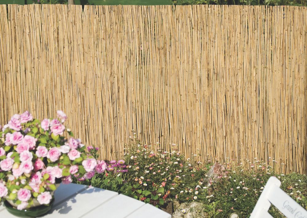 Apollo Reed Garden Screen 4 x 1m